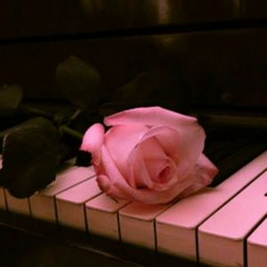 Meet your Posher, Shopper